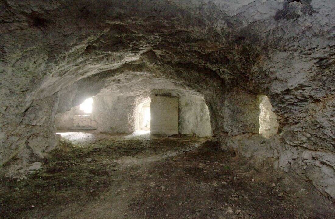 Photo of Others in Mori