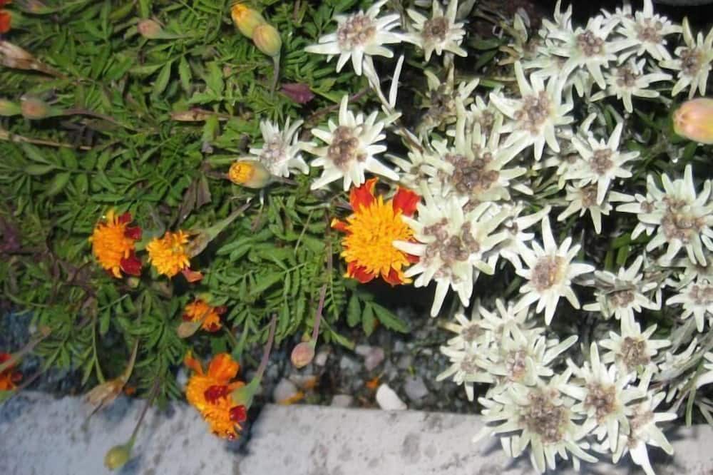 Photo of Outdoor in Brentonico