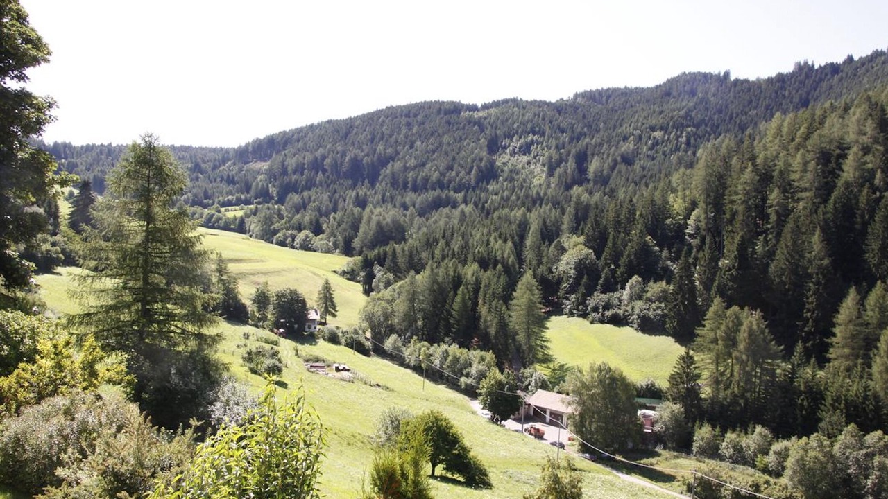 Photo of Outdoor in Trodena