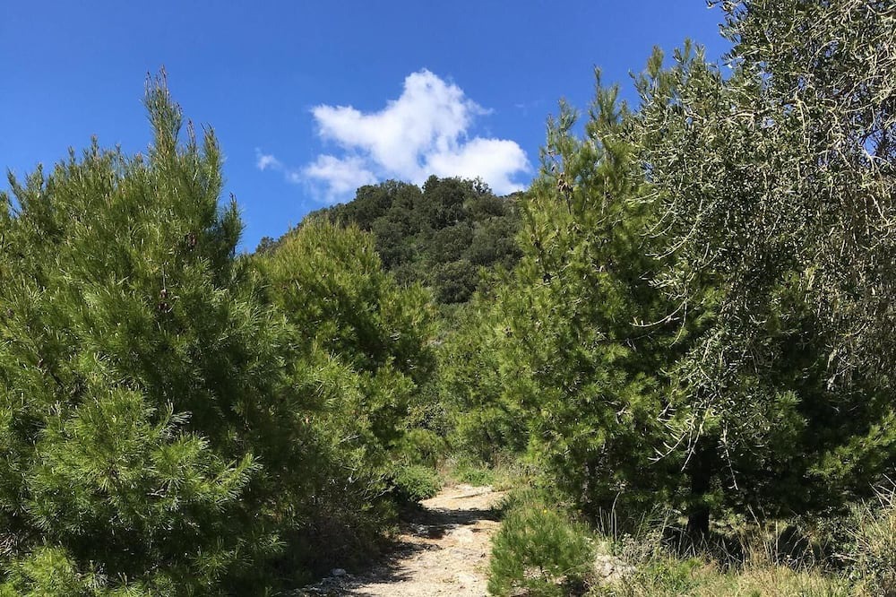 Photo of Outdoor in Erchie