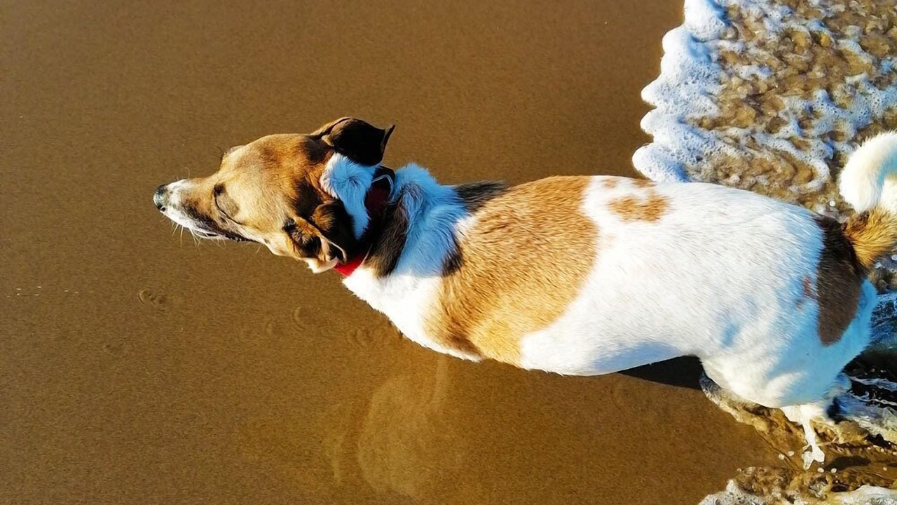 Photo of Others in Ramsgate Beach