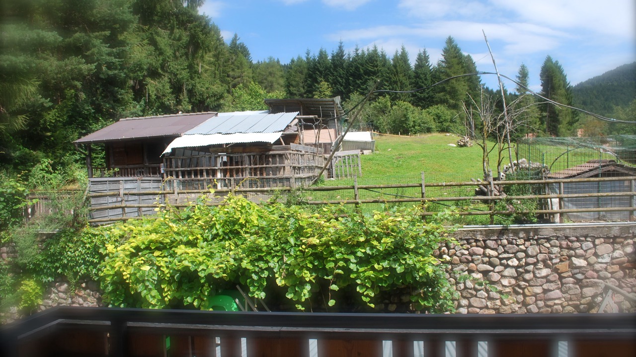 Photo of Others in Baselga di Pine