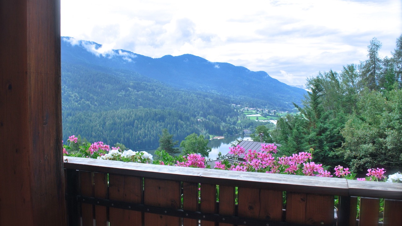 Photo of Patio Balcony in Baselga di Pine