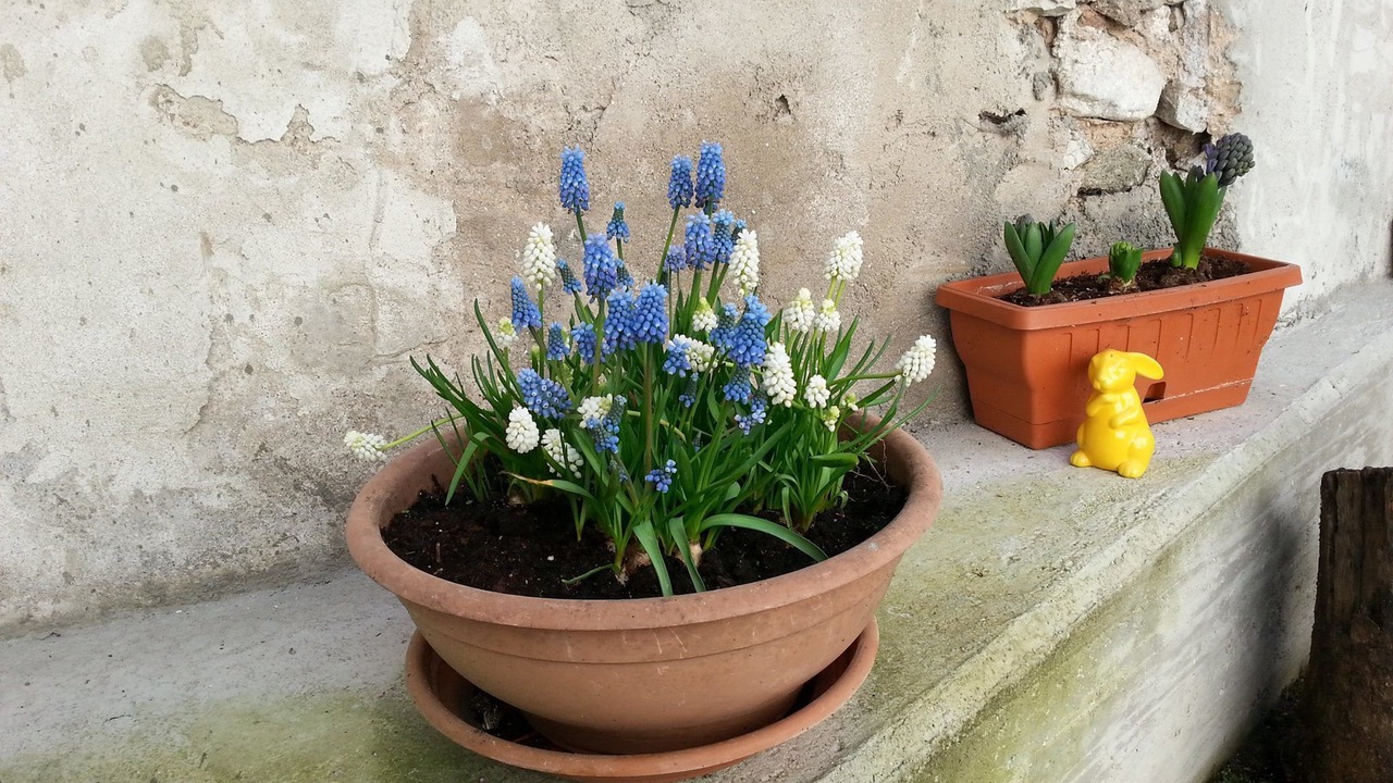 Photo of Outdoor in Borgo Valsugana