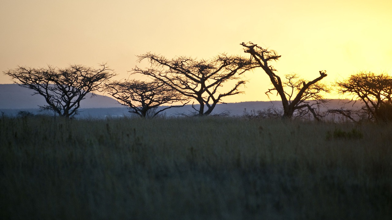 Photo of Others in Isandlwana