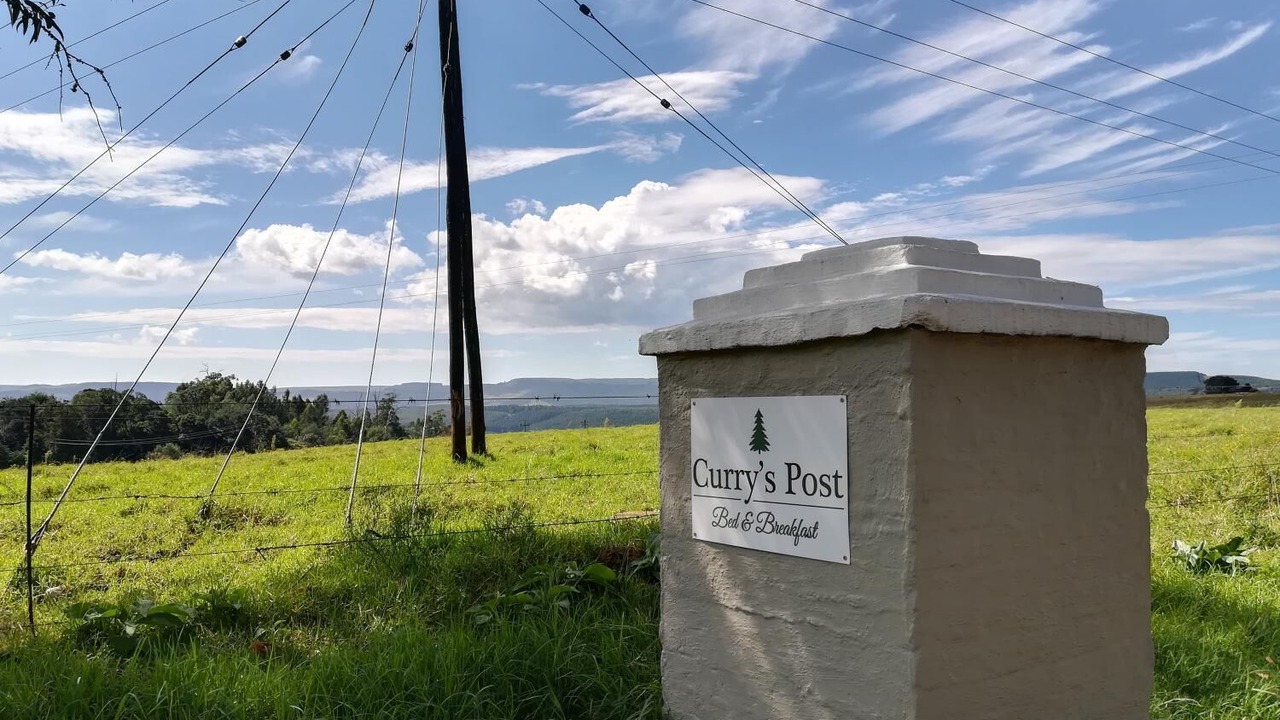 Photo of Outdoor in Curry's Post