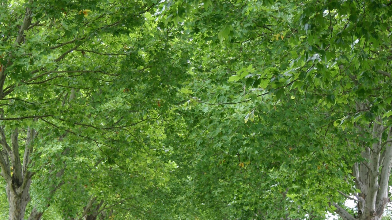 Photo of Outdoor in Himeville