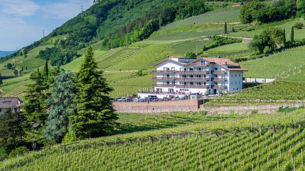 Photo of Outdoor in Termeno Sulla Strada del Vino