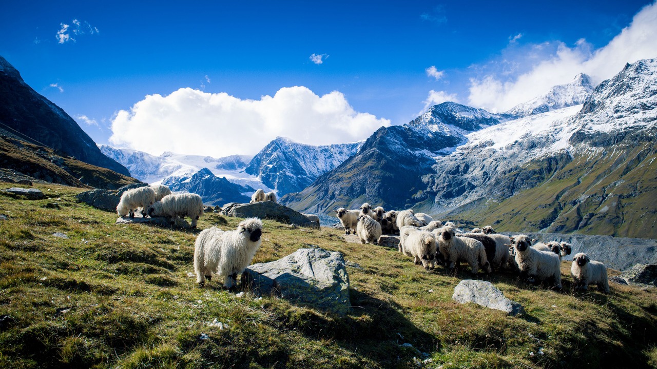Photo of Outdoor in Zermatt
