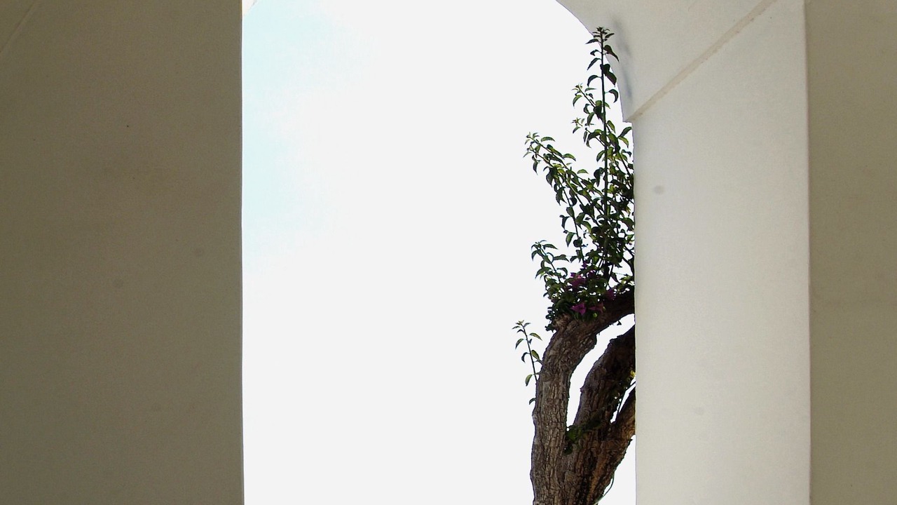 Photo of Bedroom in Positano City Centre
