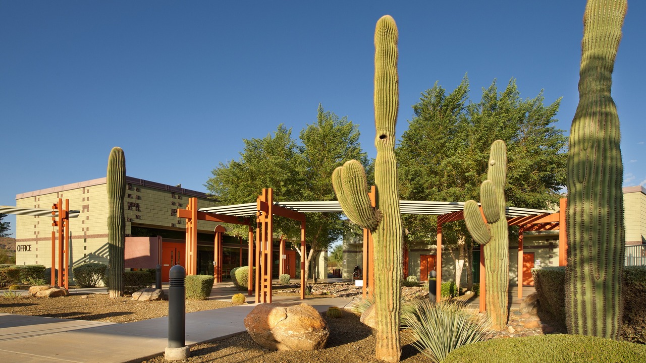 Photo of Outdoor in Fort McDowell