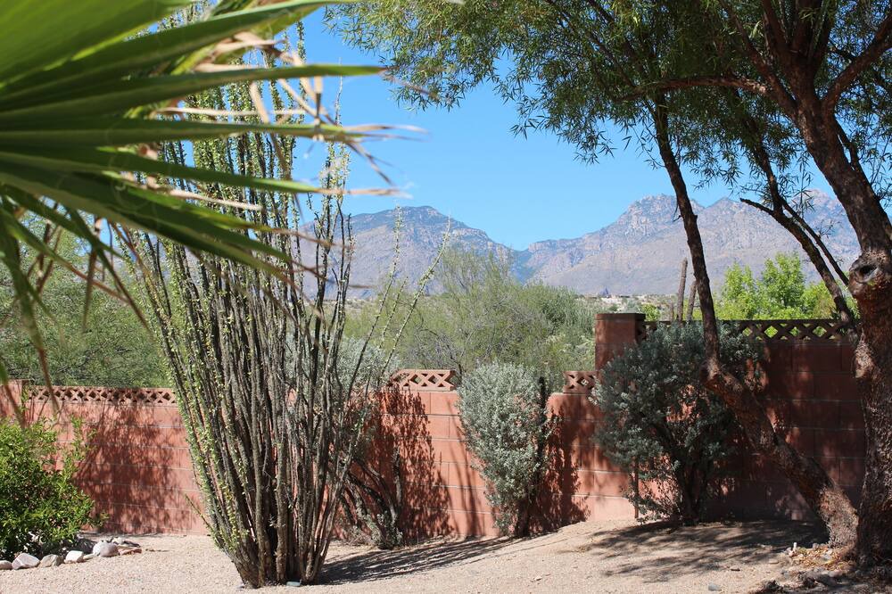 Photo of Others in Tucson