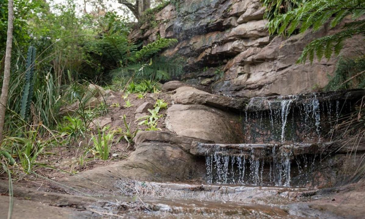 Photo of Outdoor in Waterfall