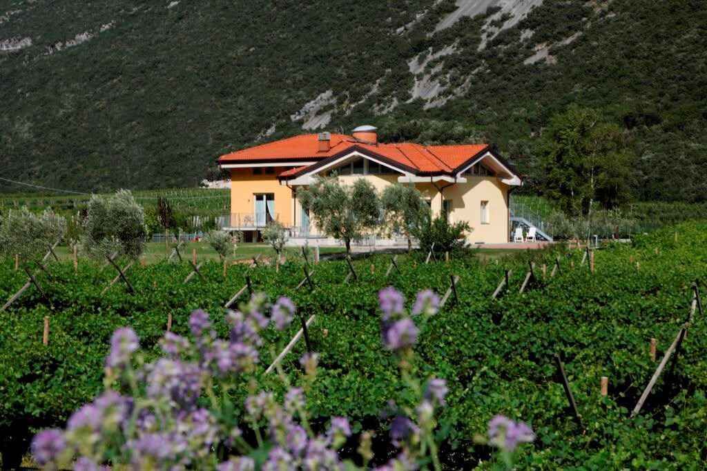 Photo of Buildings in Ceniga