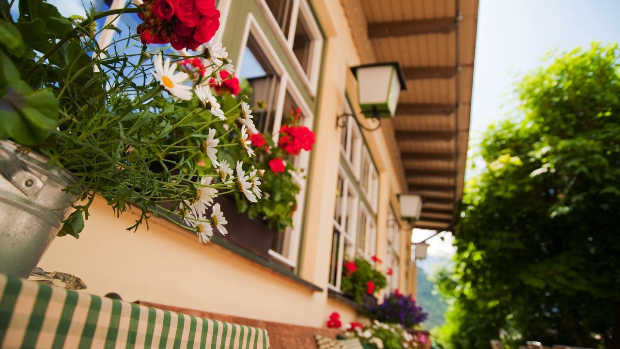 Photo of Patio Balcony in Piccolino