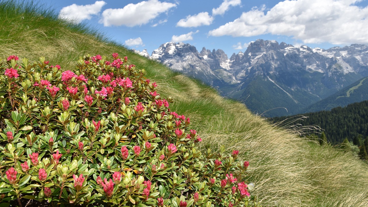 Photo of Outdoor in Ranzo