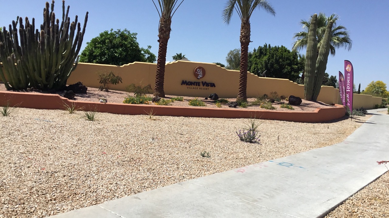 Photo of Outdoor in East Mesa