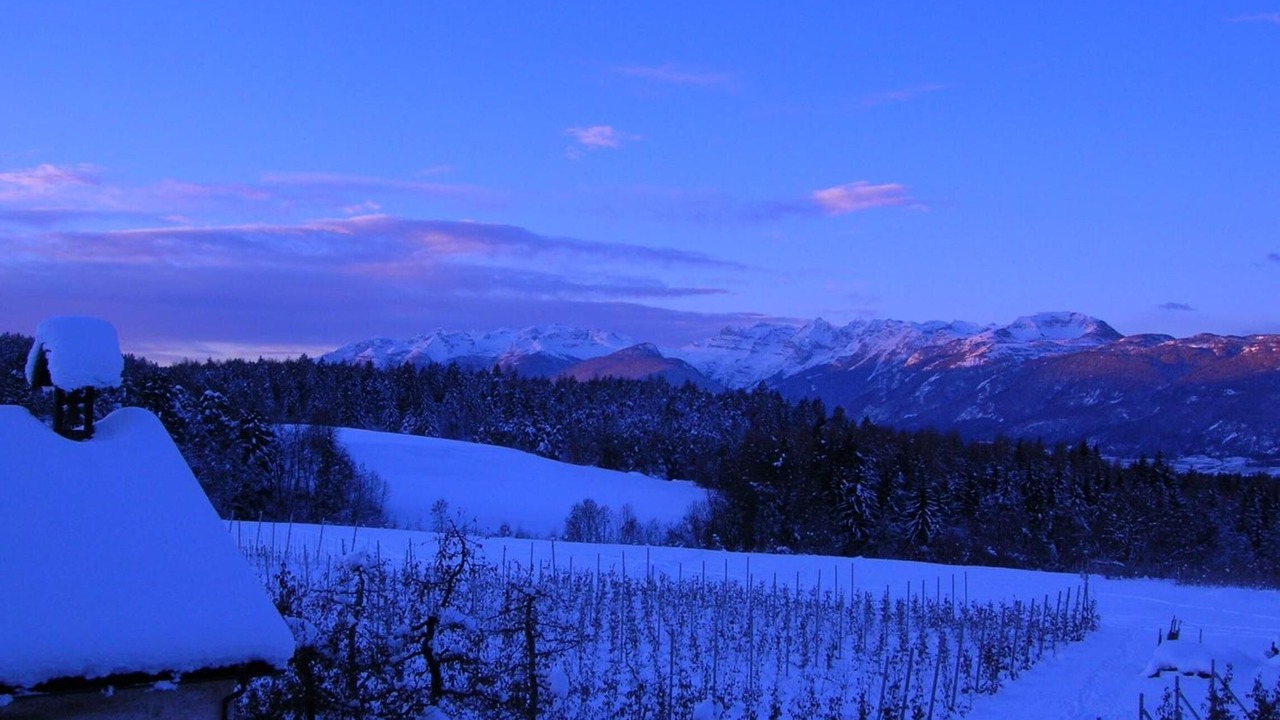 Photo of Outdoor in Romeno