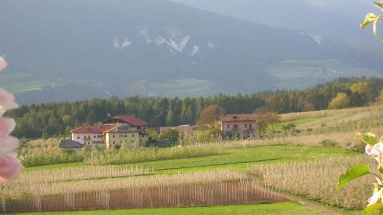 Photo of Outdoor in Romeno