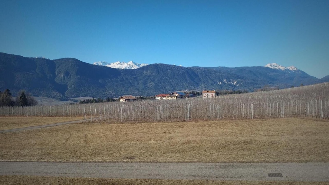 Photo of Outdoor in Romeno