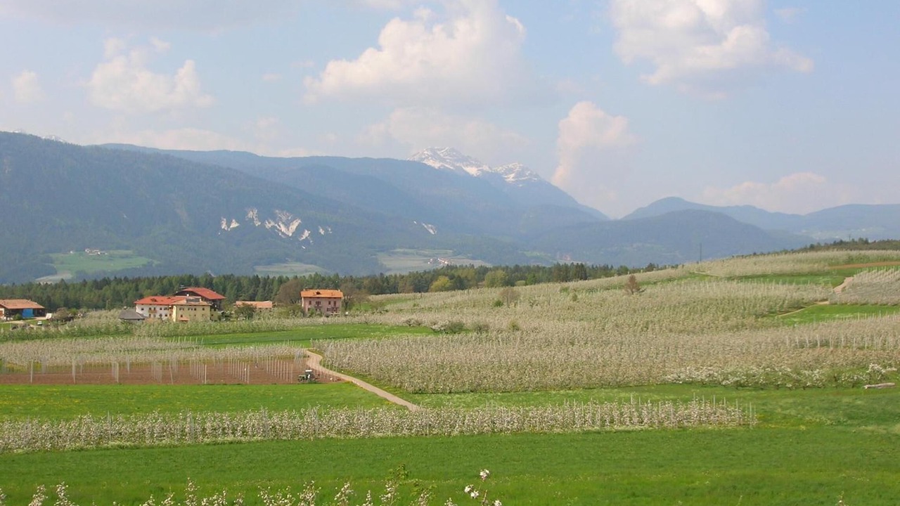 Photo of Outdoor in Romeno