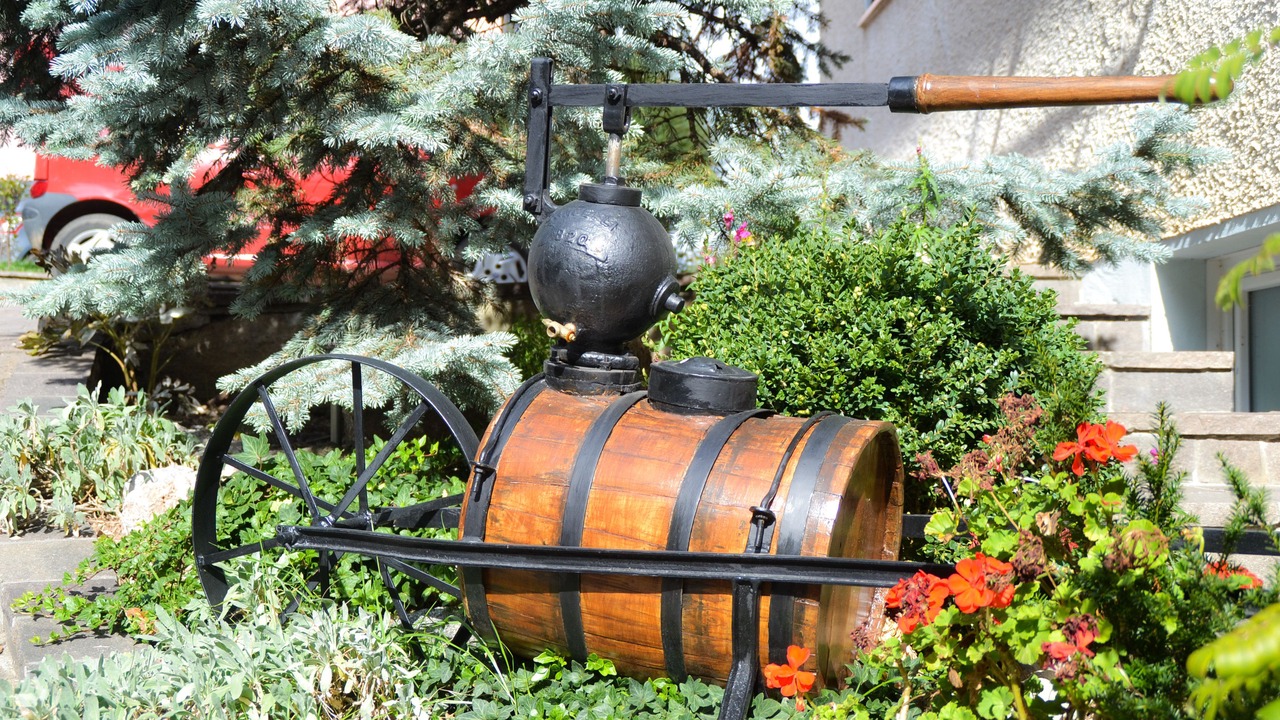 Photo of Outdoor in Flavon