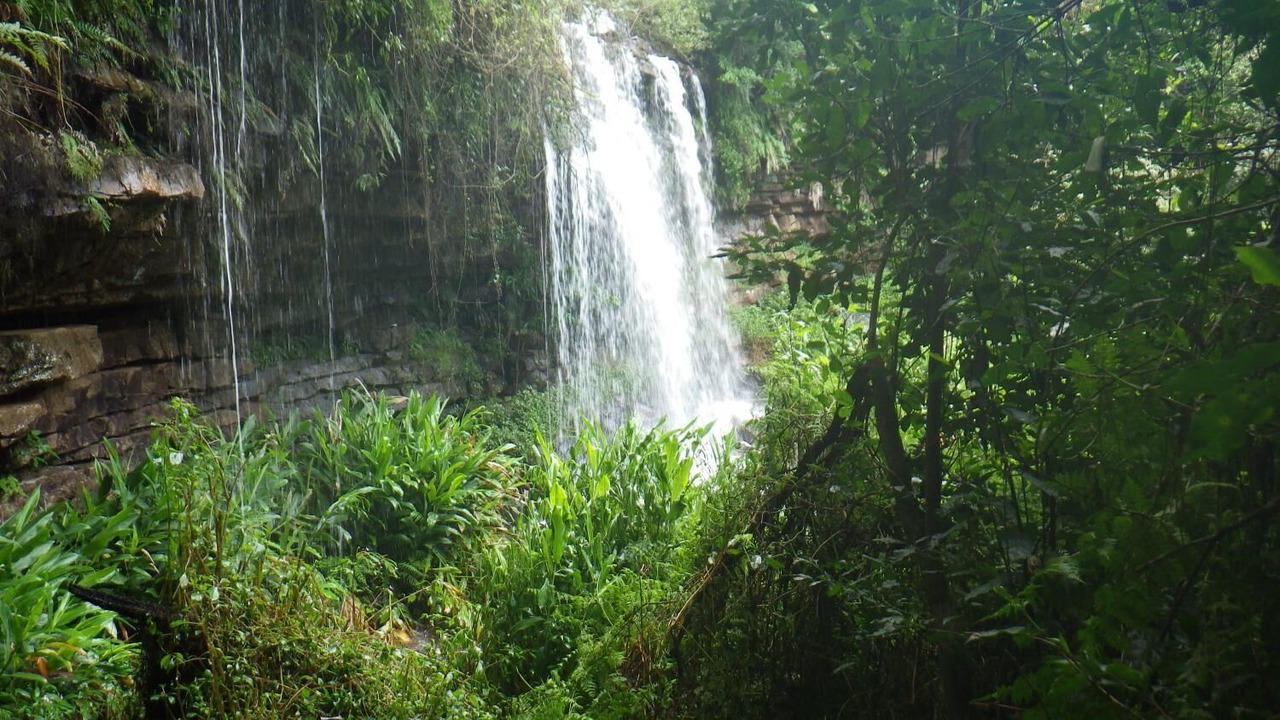 Photo of Outdoor in Kloof