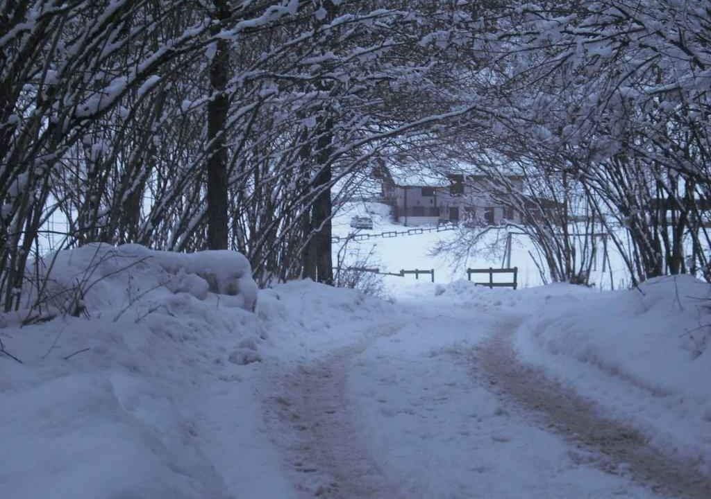 Photo of Outdoor in Concei