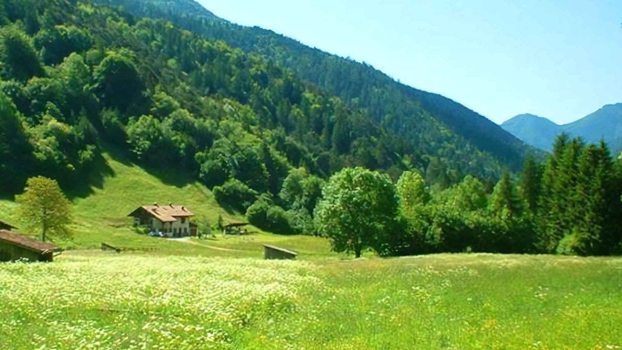 Photo of Others in Concei