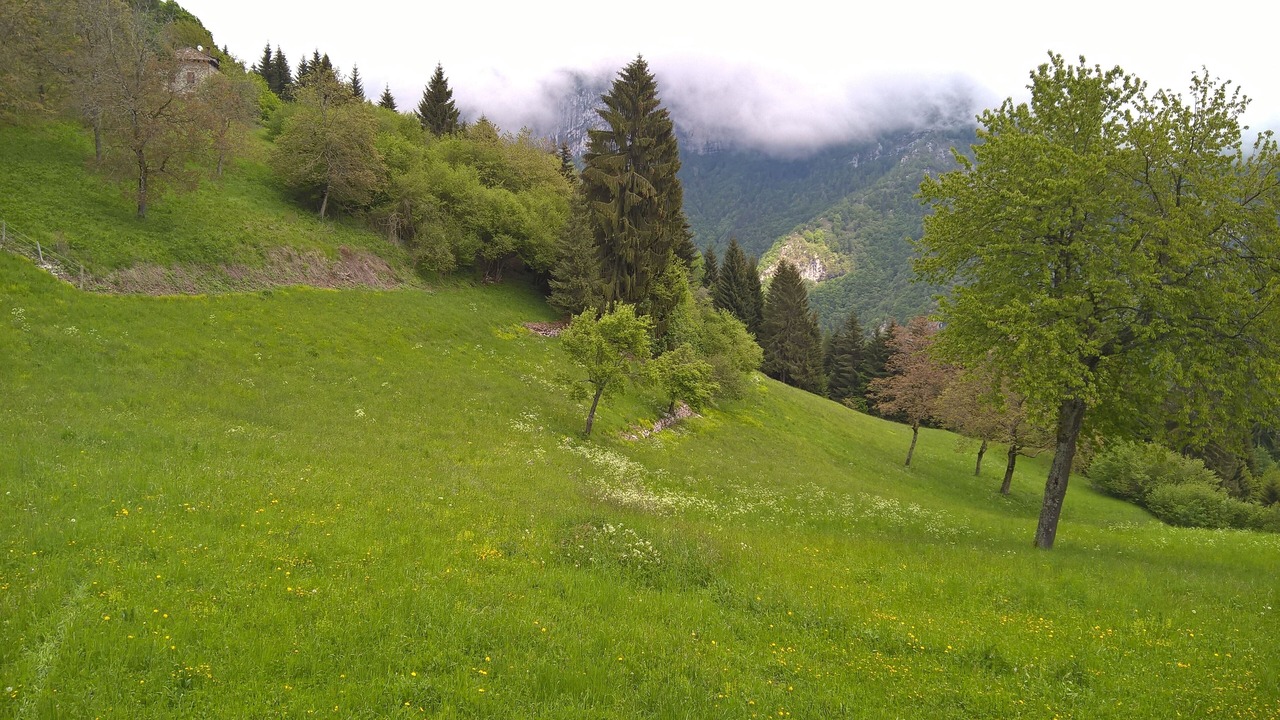 Photo of Outdoor in Castello Tesino