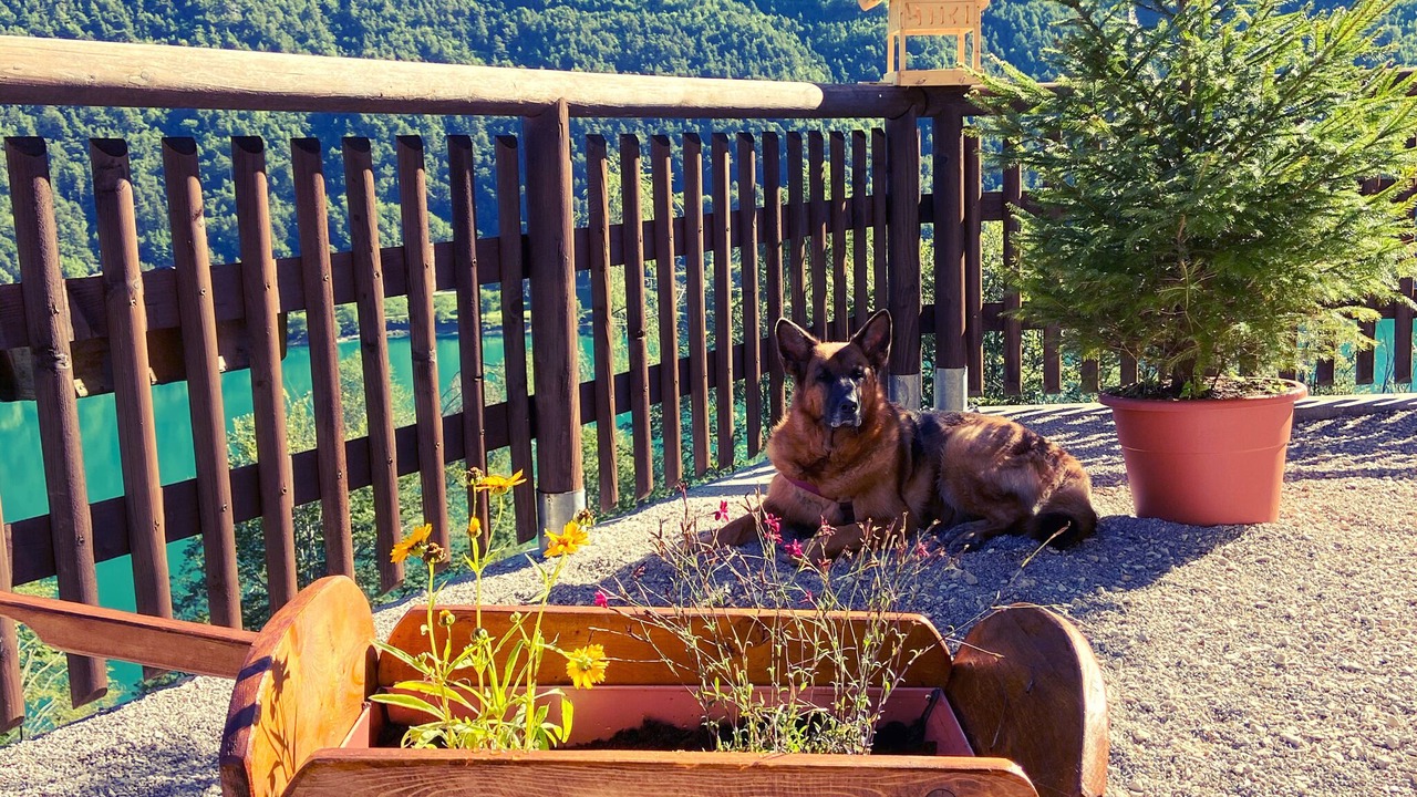 Photo of Outdoor in Pieve di Ledro