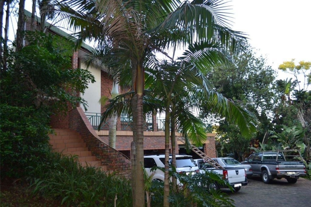 Photo of Outdoor in Mtunzini