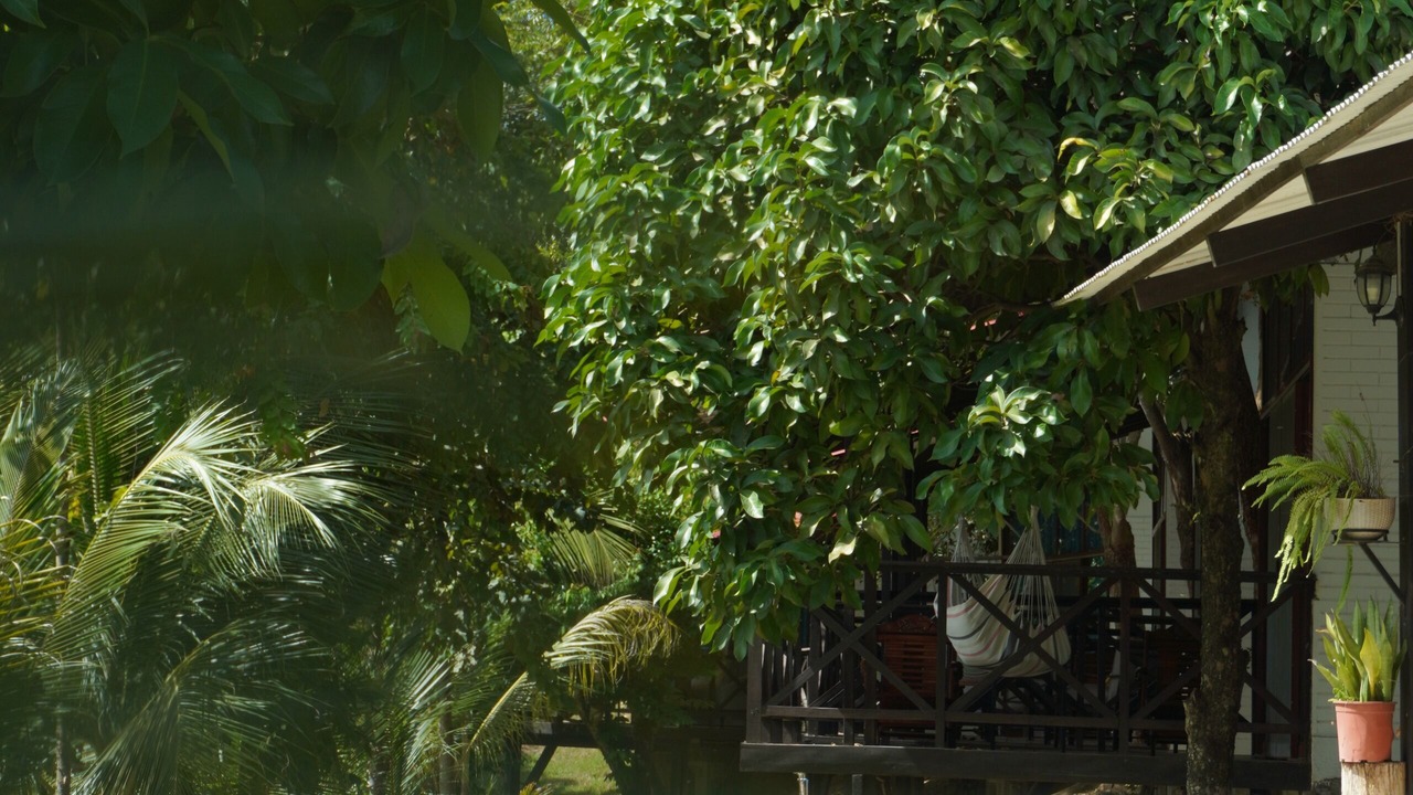 Photo of Outdoor in La Banda de Shilcayo