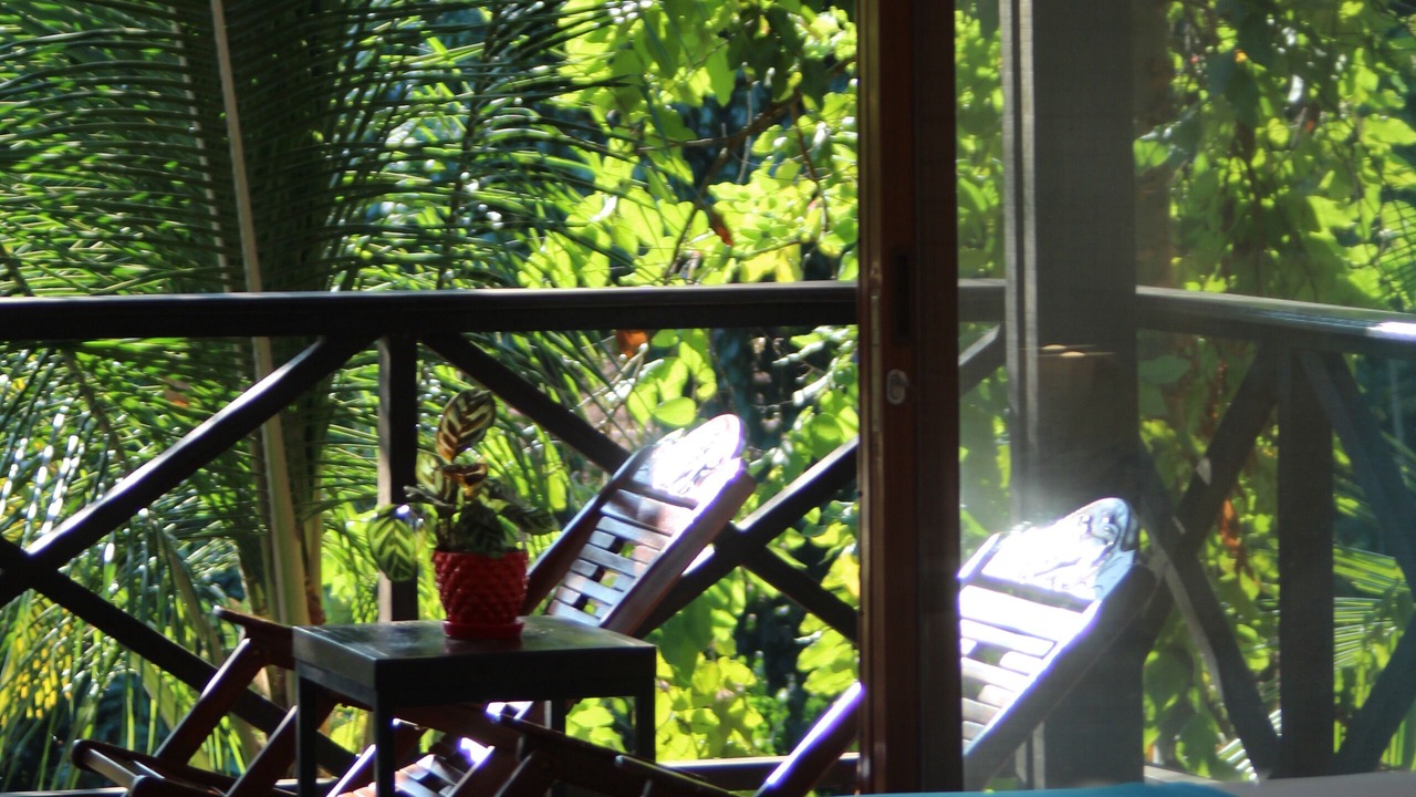 Photo of Outdoor in La Banda de Shilcayo