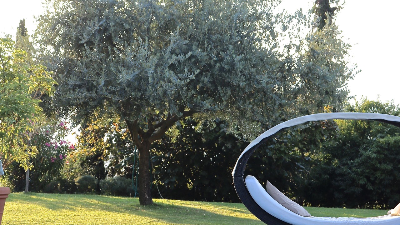 Photo of Outdoor in Caldaro Sulla Strada del Vino