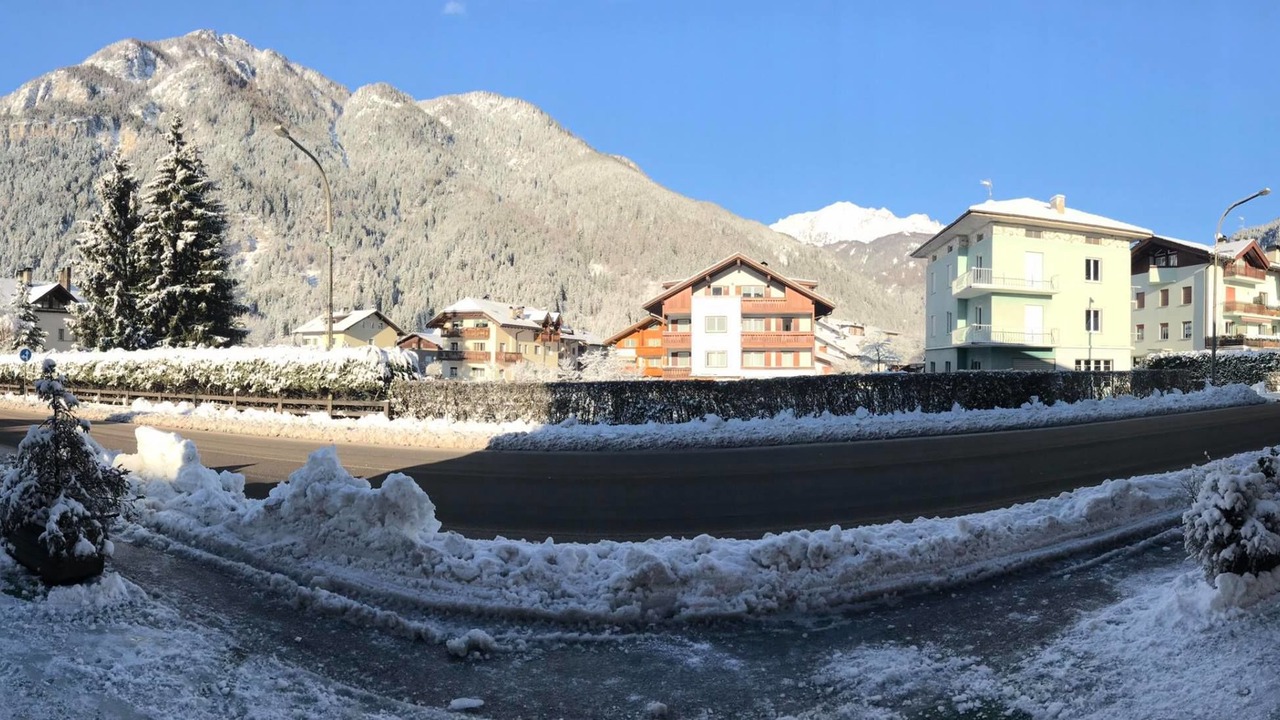 Photo of Others in Predazzo
