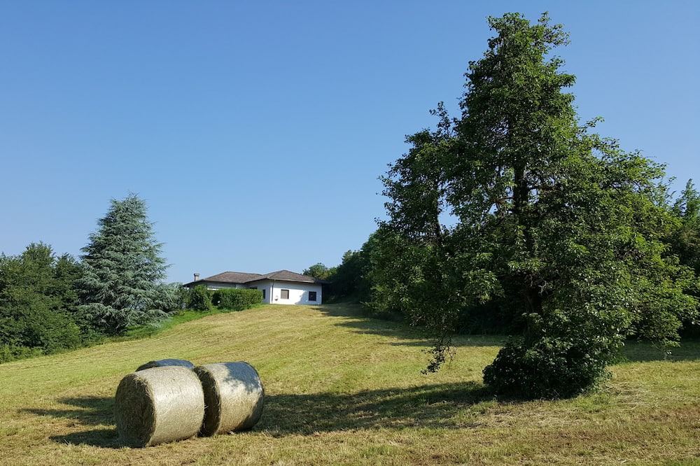 Photo of Others in Predaia