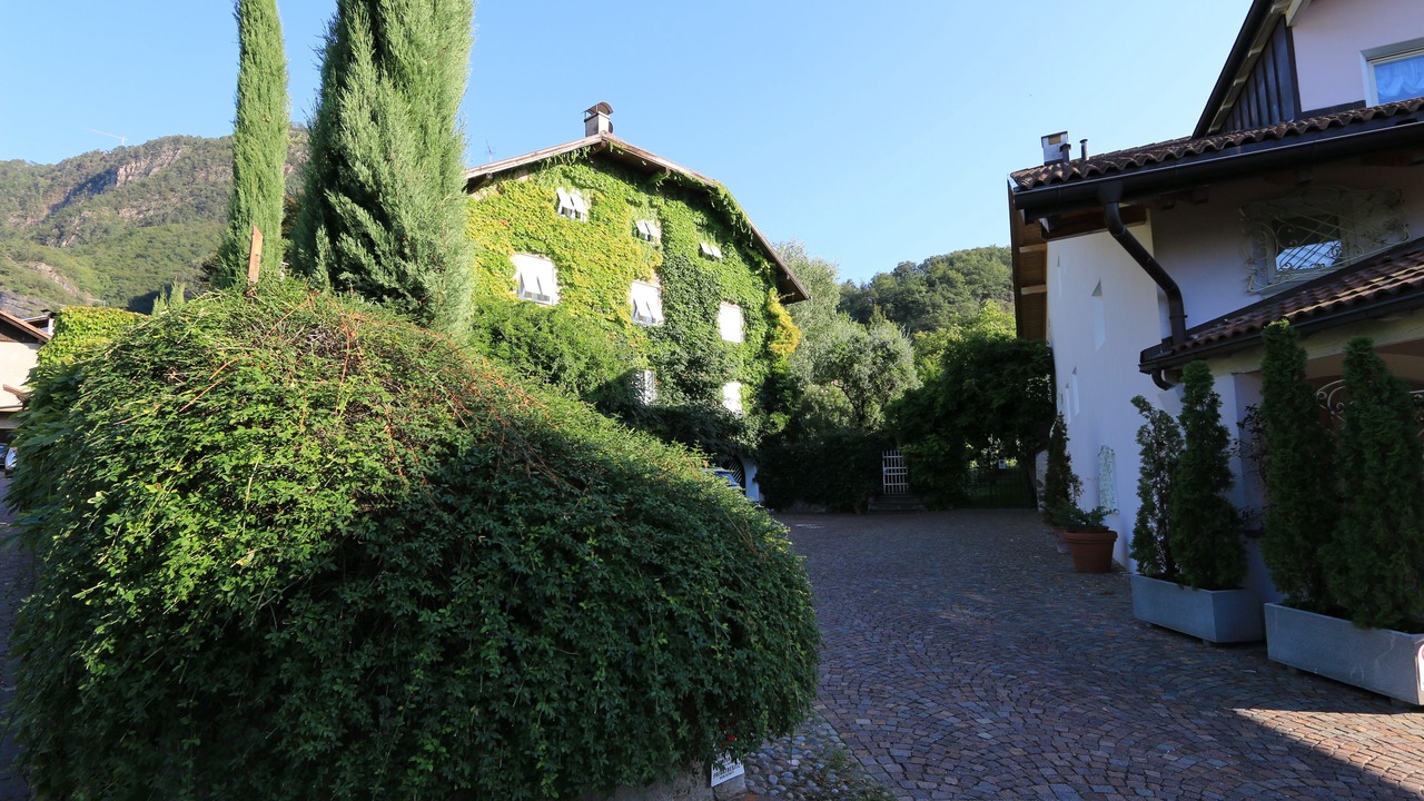 Photo of Outdoor in Auer