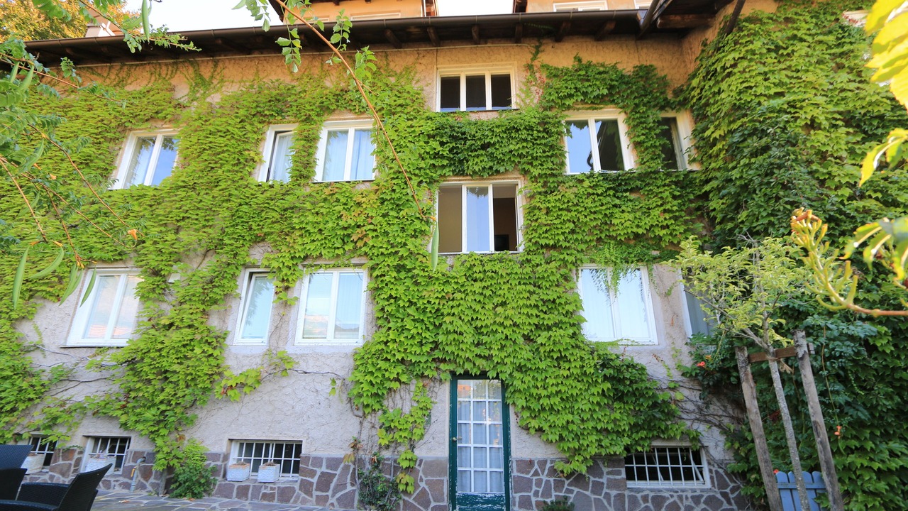 Photo of Outdoor in Auer