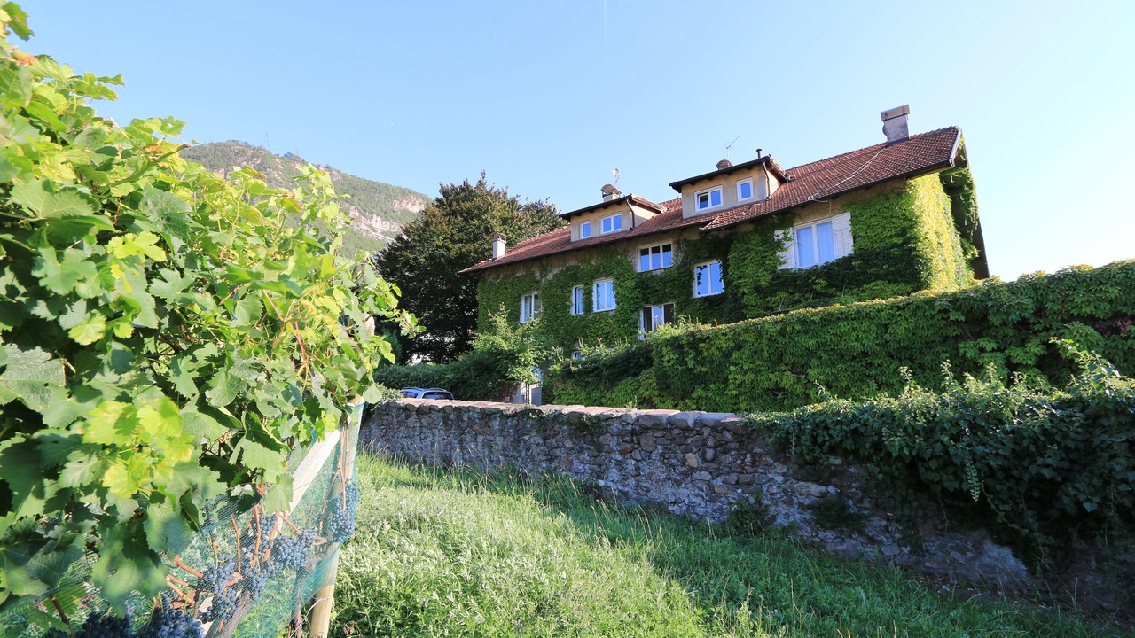 Photo of Outdoor in Auer