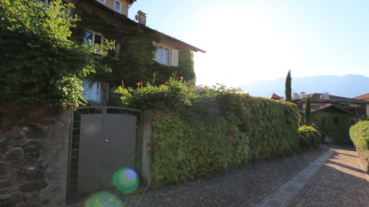 Photo of Outdoor in Auer