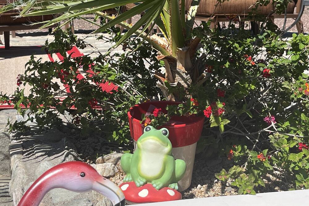 Photo of Outdoor in Cactus Acres