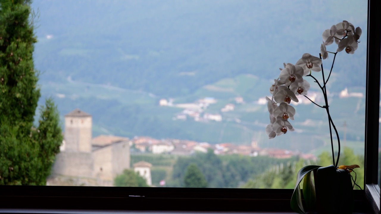 Photo of Others in Campodenno