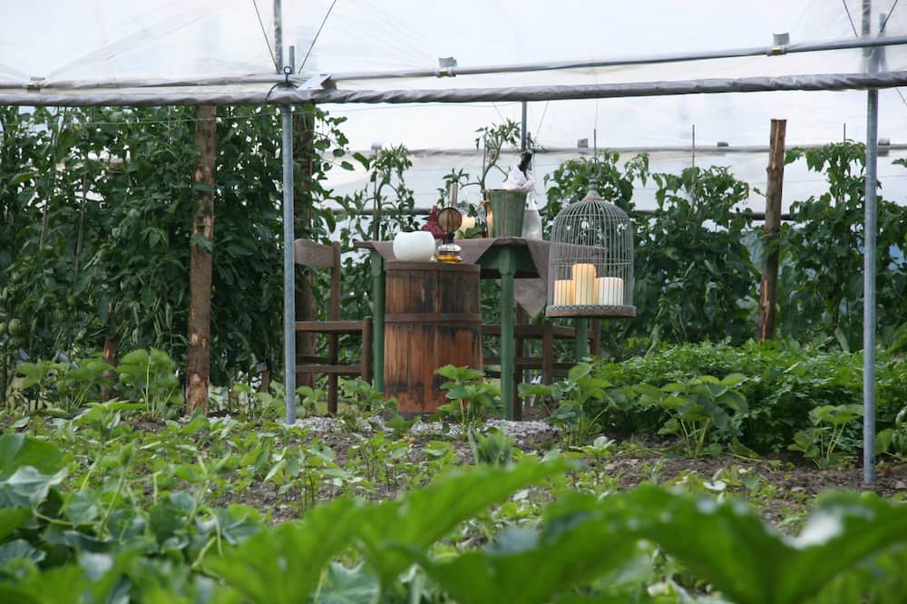 Photo of Outdoor in Giustino