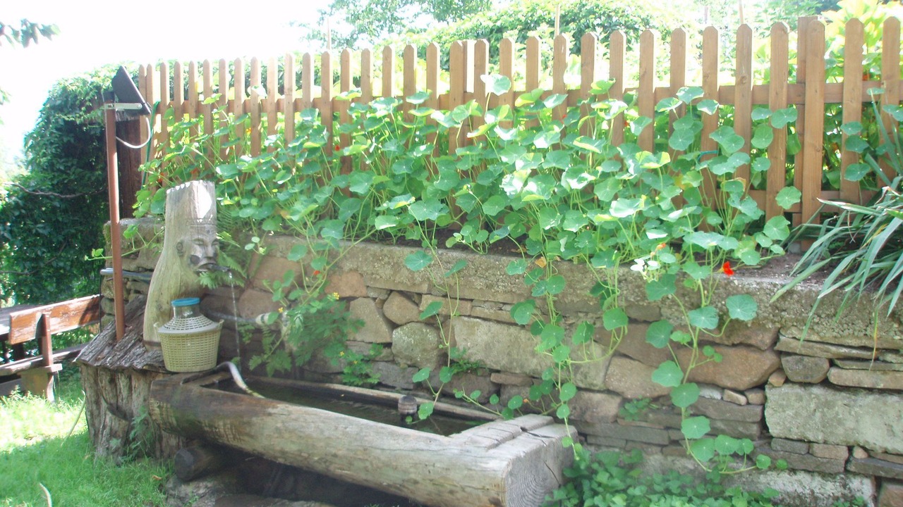 Photo of Outdoor in Bolzano