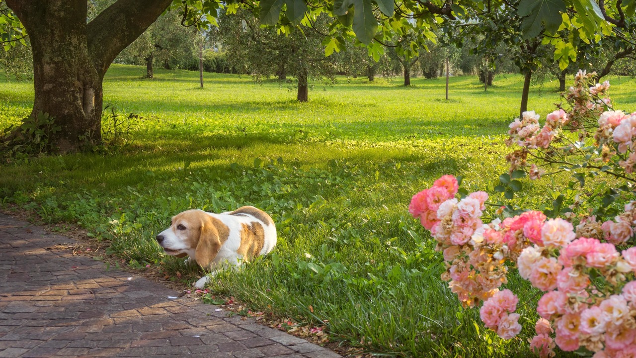 Photo of Outdoor in Arco
