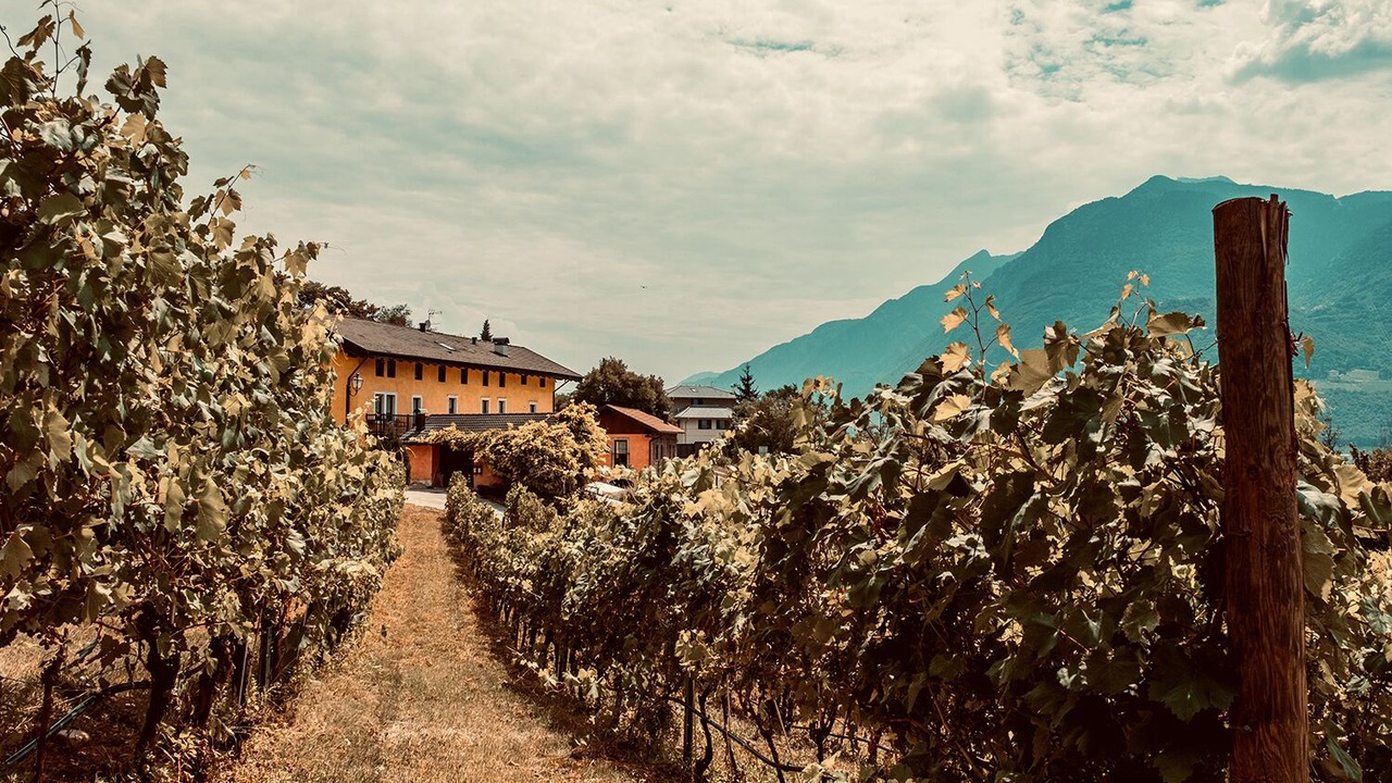Photo of Others in Martignano