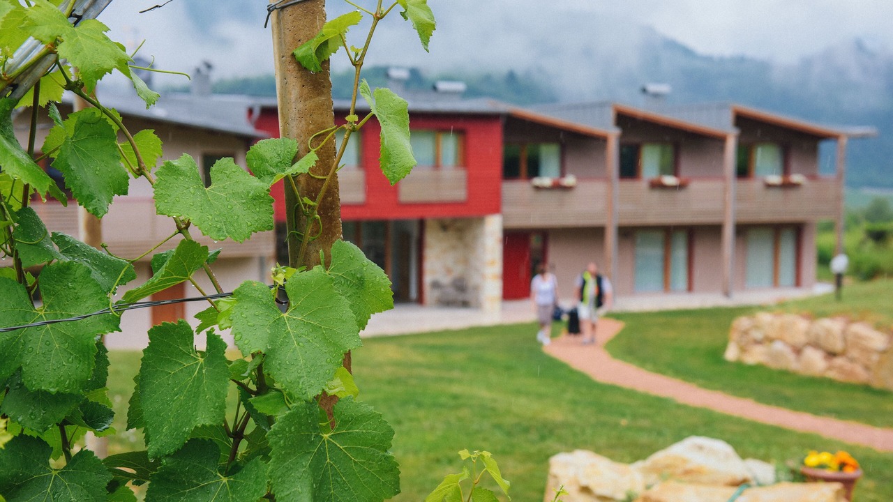 Photo of Outdoor in Martignano