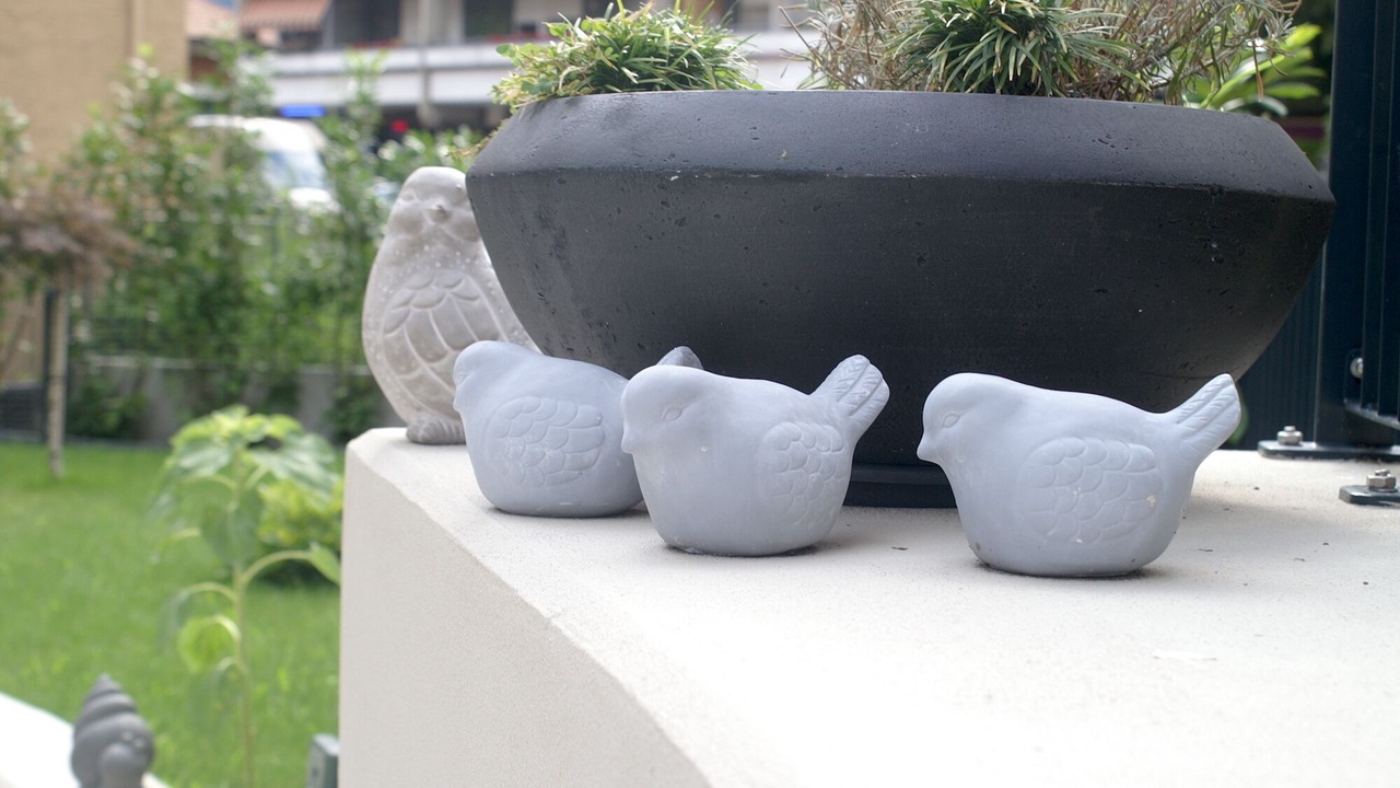 Photo of Outdoor in Merano Historic Center