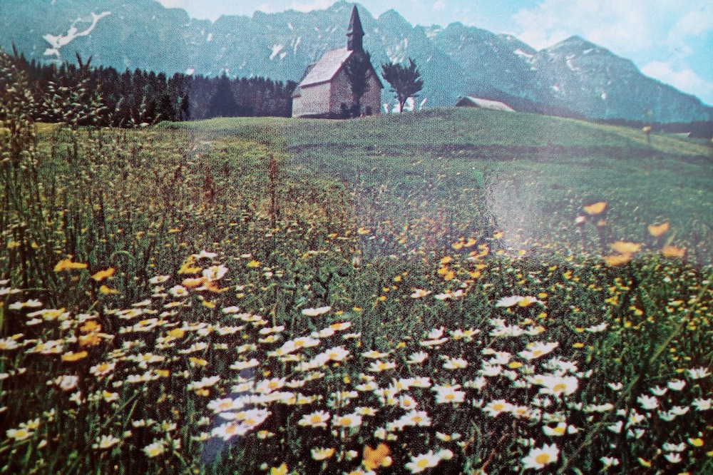 Photo of Outdoor in Mezzano